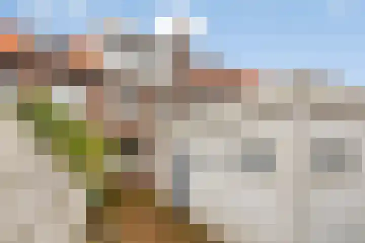 Nachtegaalstraat 17 Breda thumbnail 32