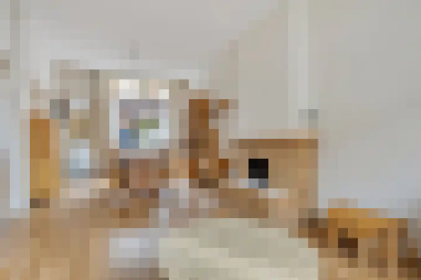 Nachtegaalstraat 17 Breda thumbnail 5