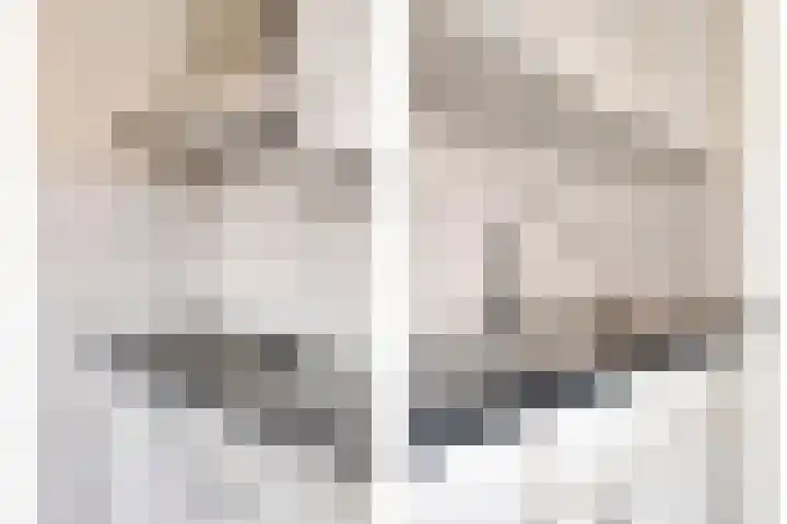 Nachtegaalstraat 17 Breda thumbnail 9