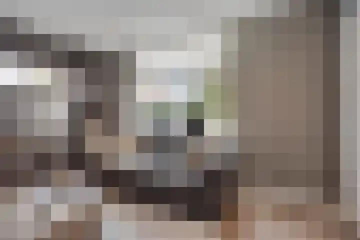 Nachtegaalstraat 17 Heteren thumbnail 10