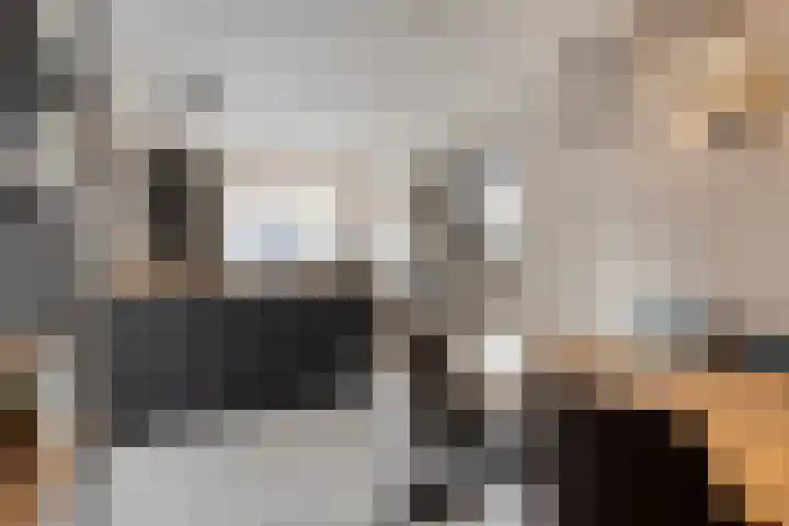 Nachtegaalstraat 17 Heteren thumbnail 16