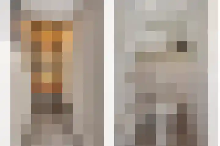 Nachtegaalstraat 17 Heteren thumbnail 18