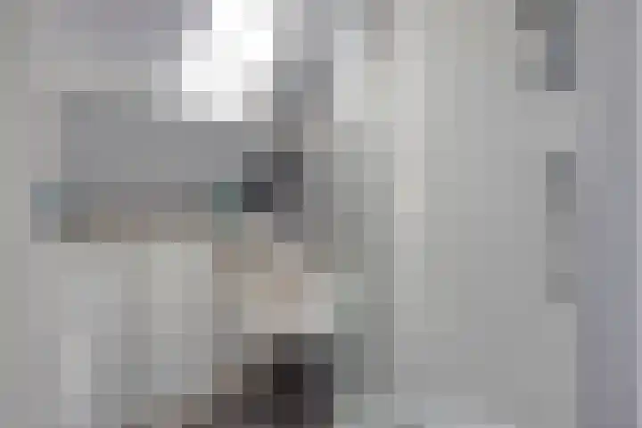 Nachtegaalstraat 17 Heteren thumbnail 26