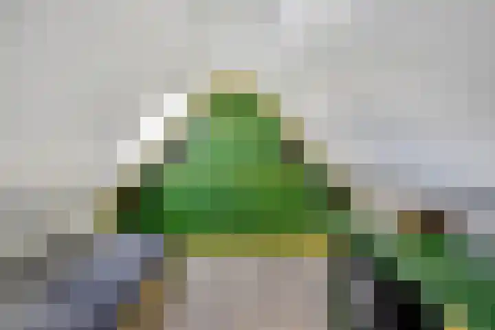 Nachtegaalstraat 17 Heteren thumbnail 29