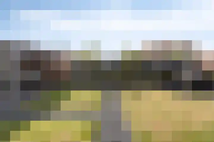 Nachtegaalstraat 17 Heteren thumbnail 36