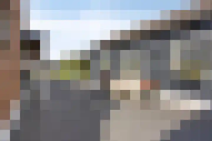 Nachtegaalstraat 17 Heteren thumbnail 41
