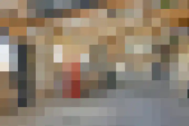 Nachtegaalstraat 17 Heteren thumbnail 43
