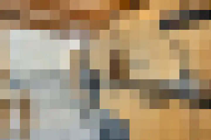 Nachtegaalstraat 17 Heteren thumbnail 48