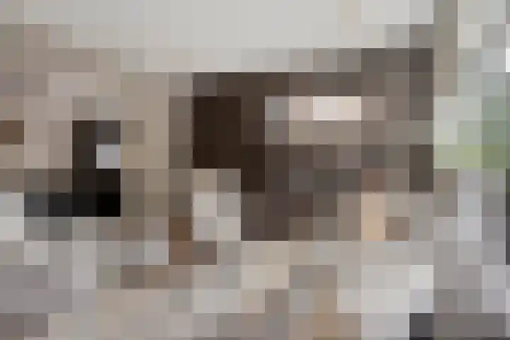 Nachtegaalstraat 17 Heteren thumbnail 9
