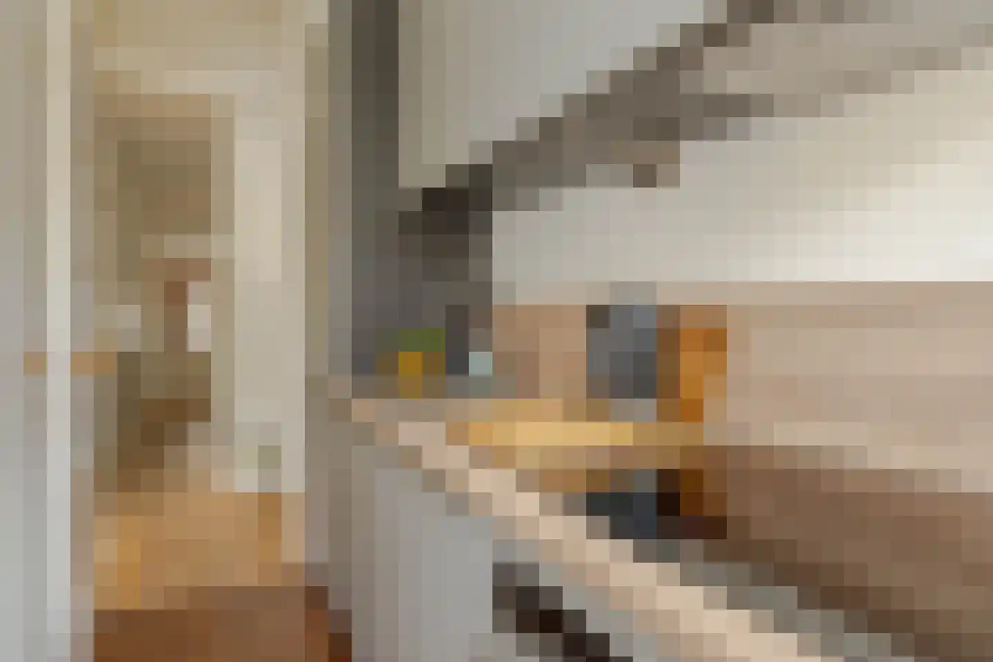 Nachtegaalstraat 19 B Rotterdam thumbnail 13