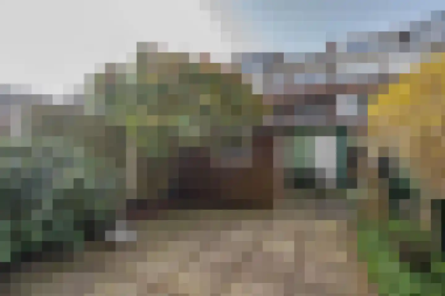 Nachtegaalstraat 19 B Rotterdam thumbnail 21