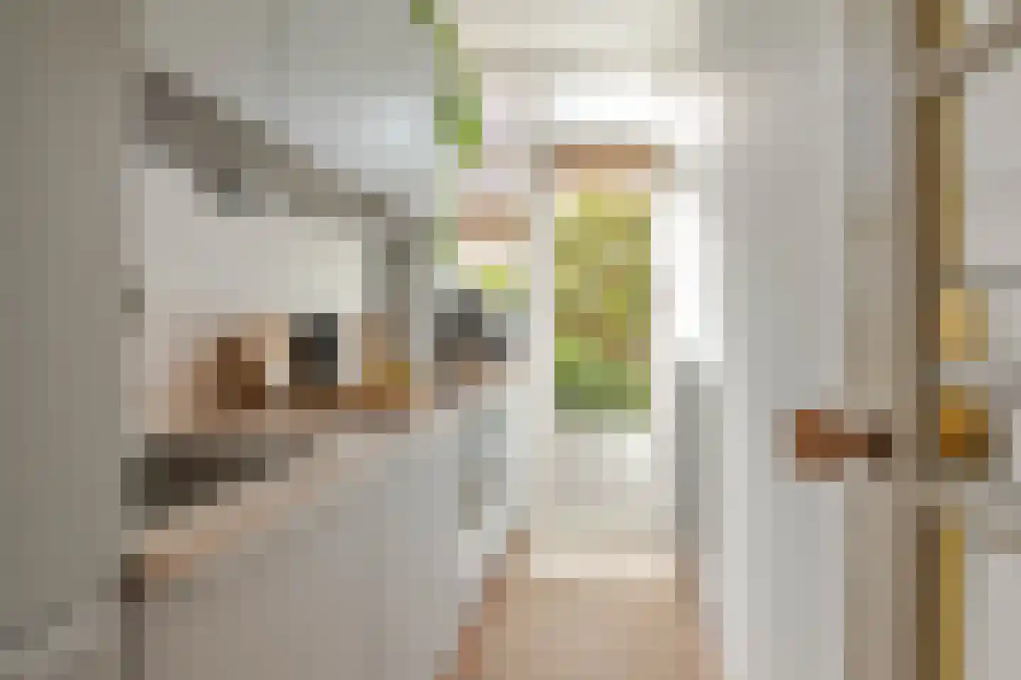 Nachtegaalstraat 19 B Rotterdam thumbnail 4
