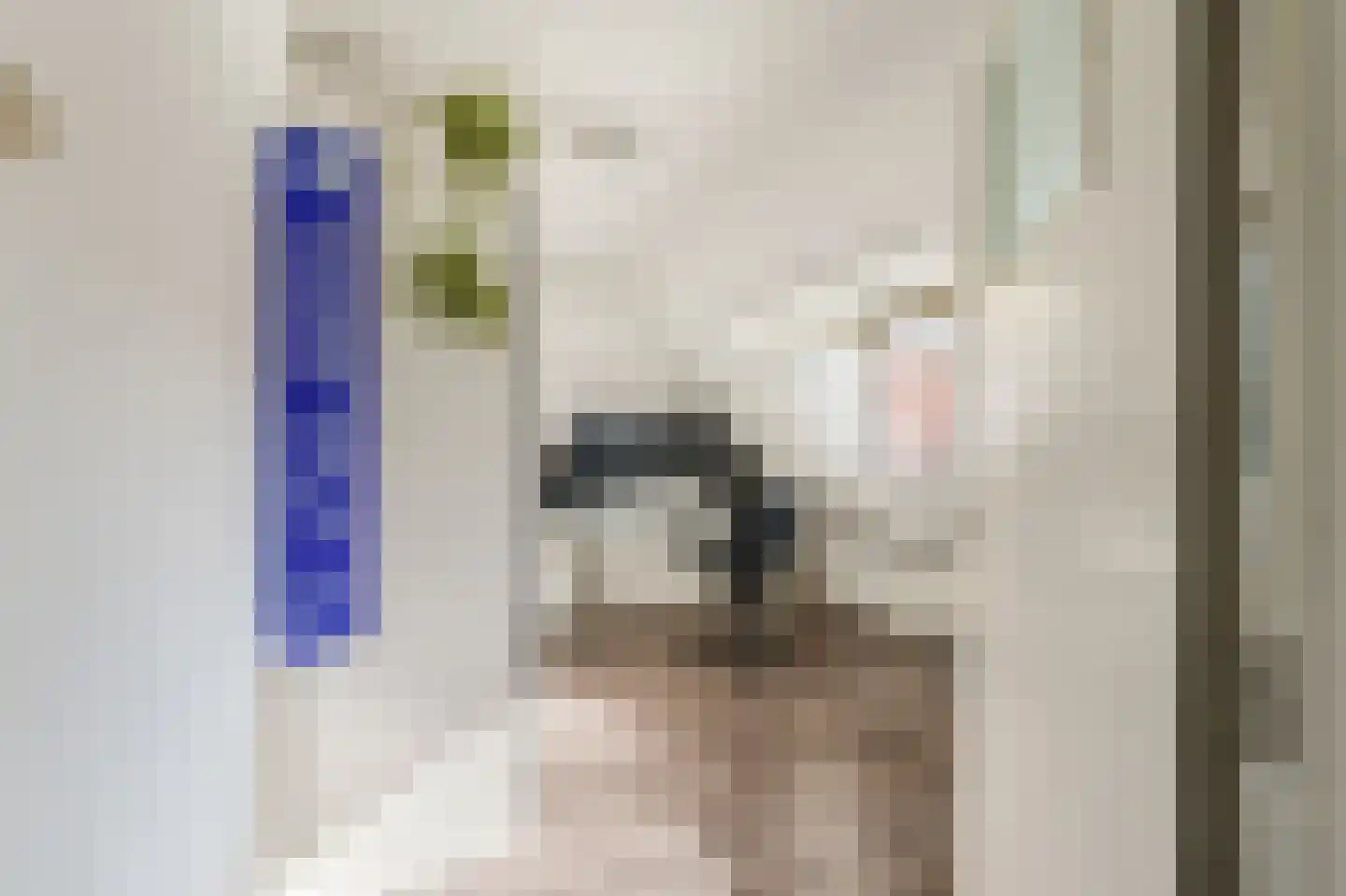 Nachtegaalstraat 19 Hilversum thumbnail 17