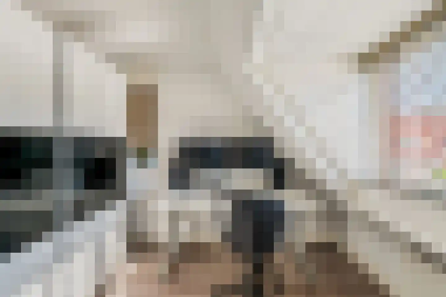 Nachtegaalstraat 19 Hilversum thumbnail 18