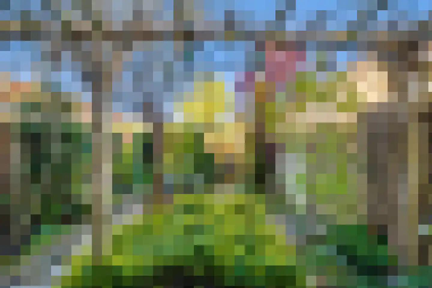 Nachtegaalstraat 19 Hilversum thumbnail 22