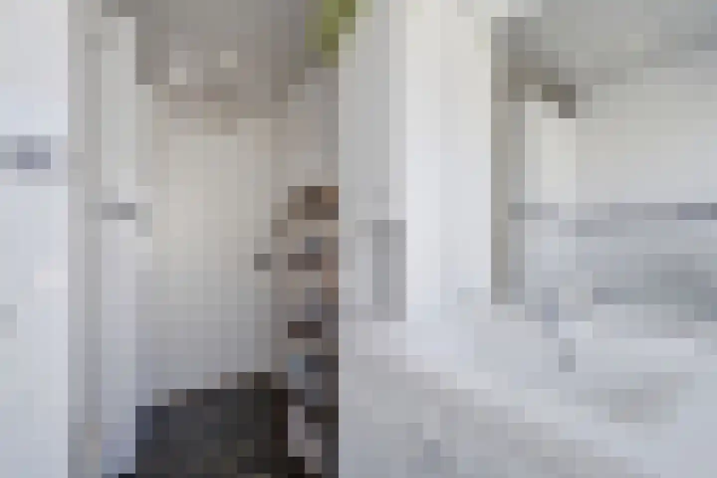 Nachtegaalstraat 19 Middelburg thumbnail 20