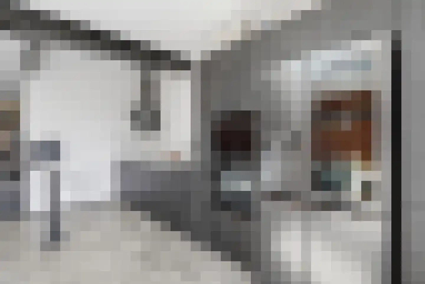 Nachtegaalstraat 19 Middelburg thumbnail 6
