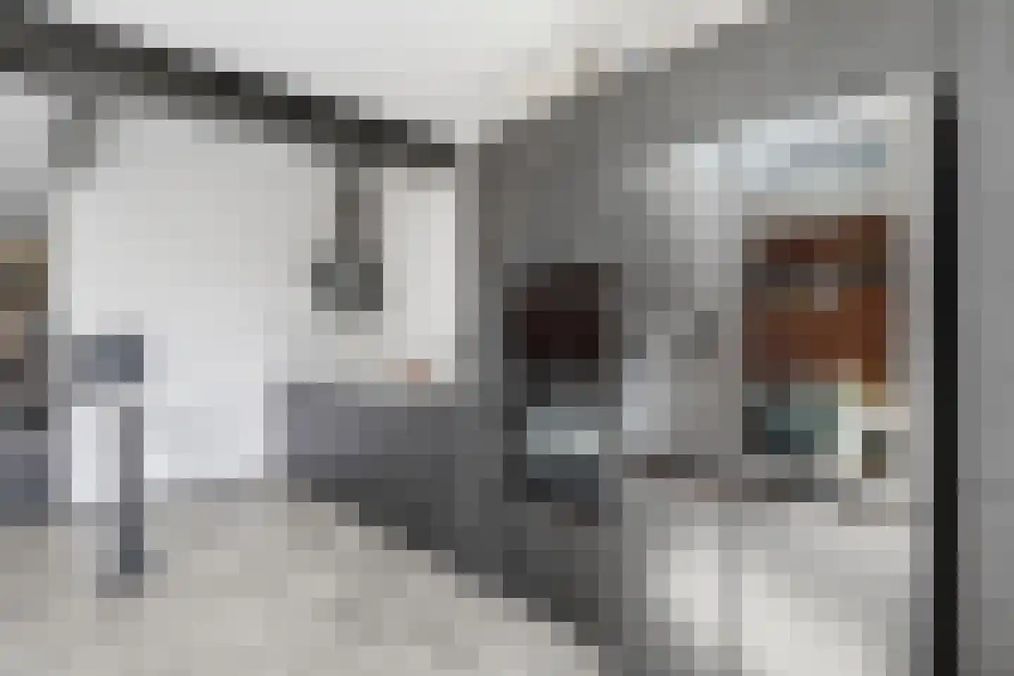 Nachtegaalstraat 19 Middelburg thumbnail 7