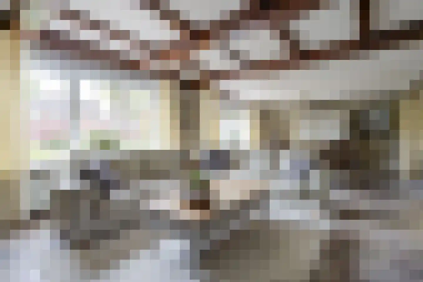 Nachtegaalstraat 2 B St. Willebrord thumbnail 26