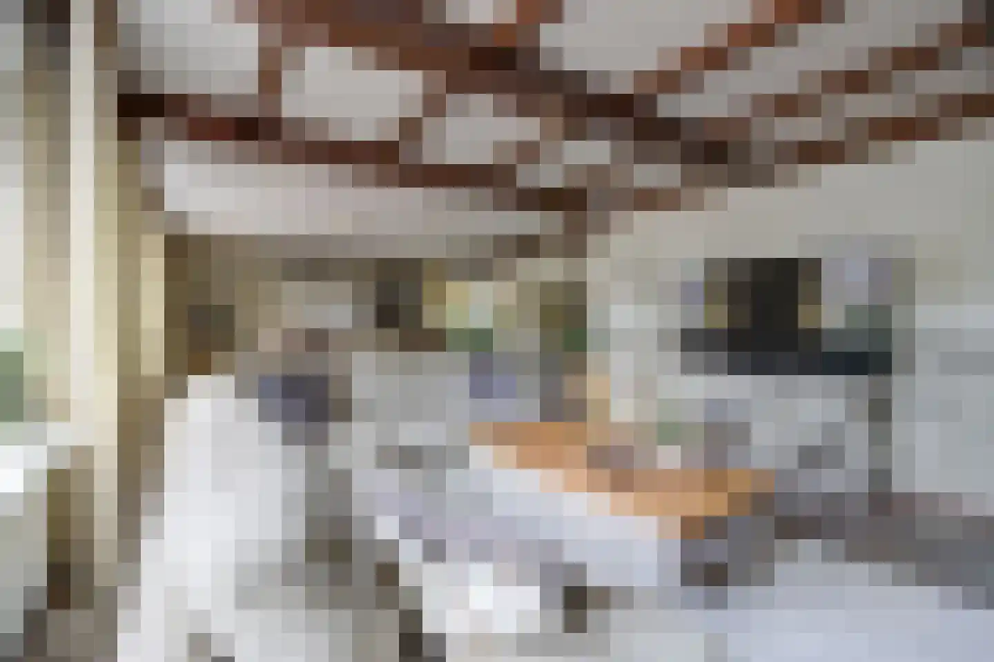 Nachtegaalstraat 2 B St. Willebrord thumbnail 27