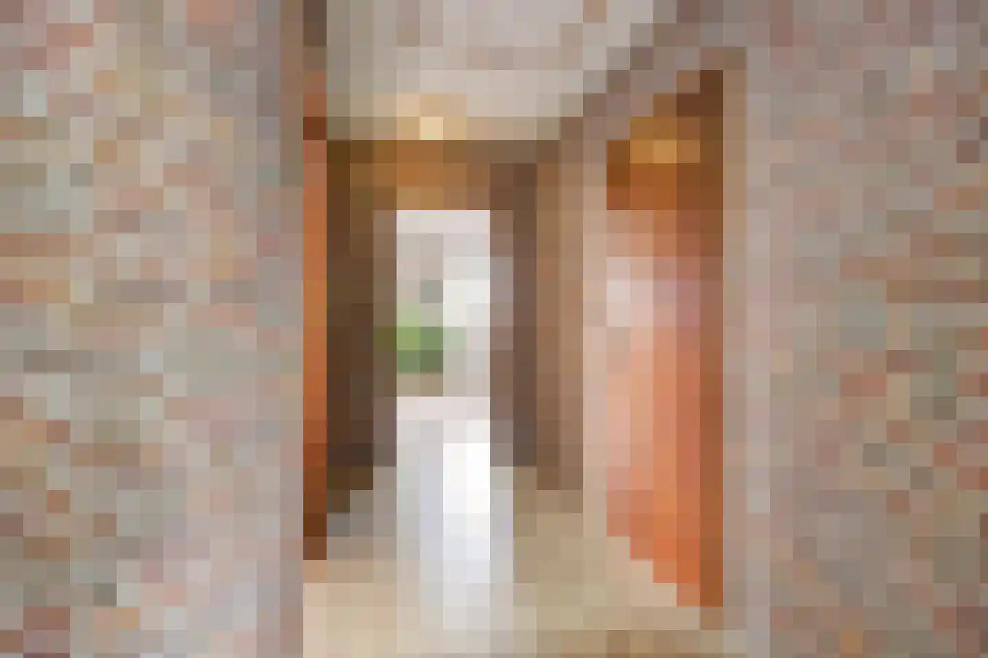 Nachtegaalstraat 2 B St. Willebrord thumbnail 30