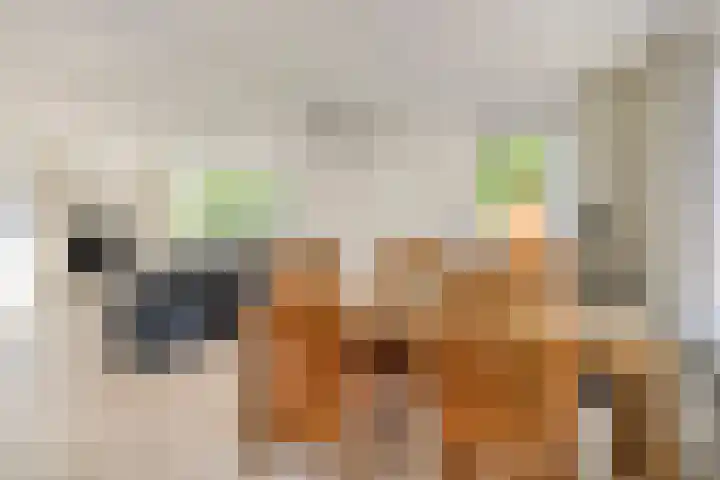 Nachtegaalstraat 2 Goor thumbnail 12