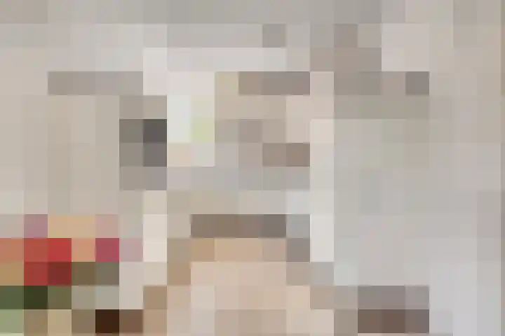 Nachtegaalstraat 2 Goor thumbnail 13