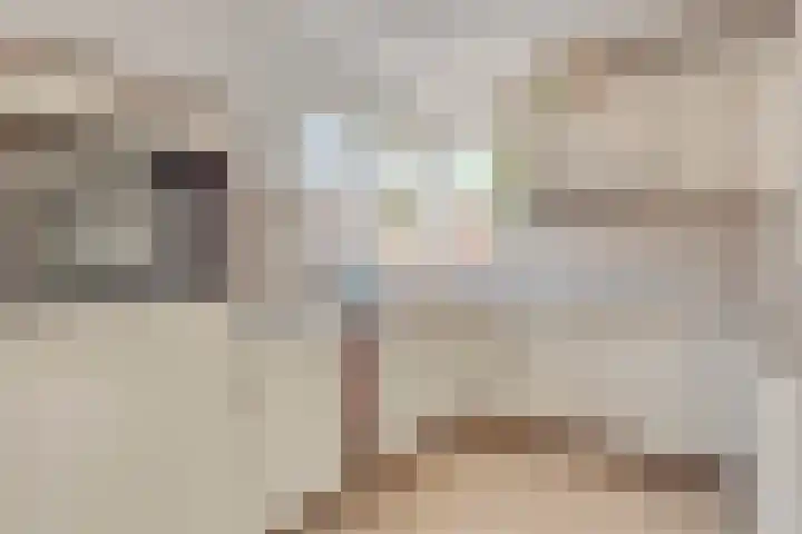 Nachtegaalstraat 2 Goor thumbnail 14