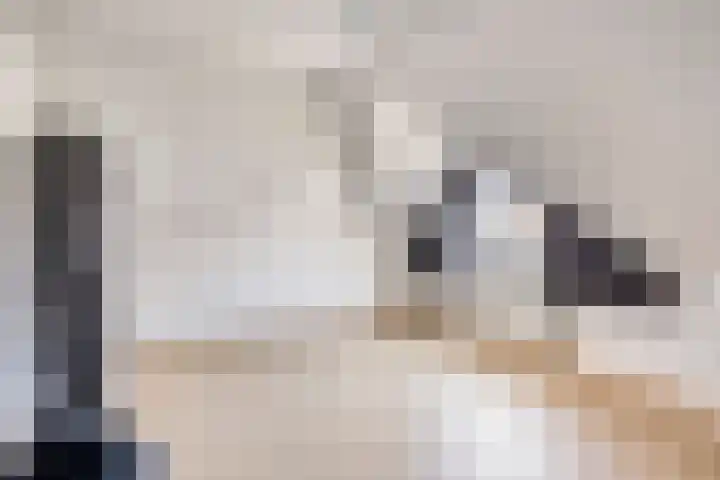 Nachtegaalstraat 2 Goor thumbnail 23