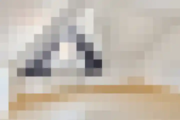 Nachtegaalstraat 2 Goor thumbnail 24
