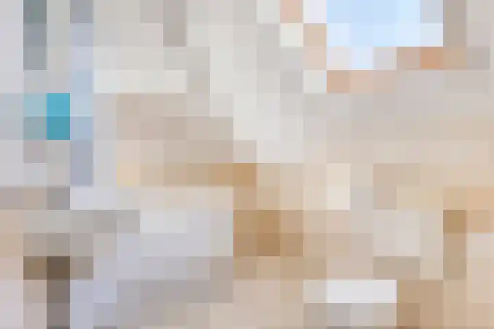 Nachtegaalstraat 2 Goor thumbnail 27