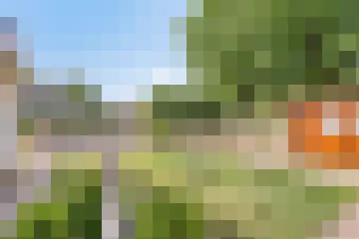 Nachtegaalstraat 2 Goor thumbnail 31