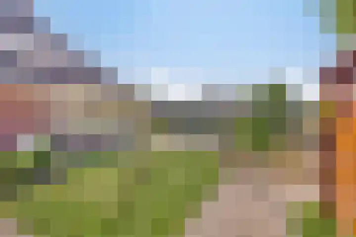 Nachtegaalstraat 2 Goor thumbnail 32