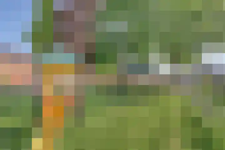 Nachtegaalstraat 2 Goor thumbnail 37