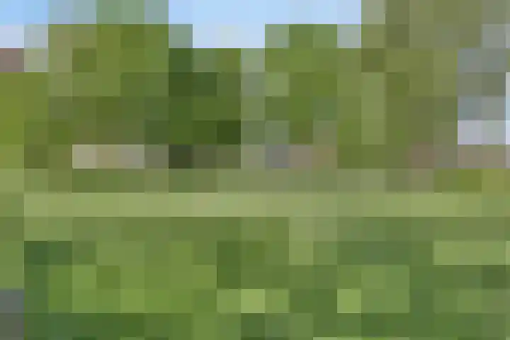 Nachtegaalstraat 2 Goor thumbnail 38