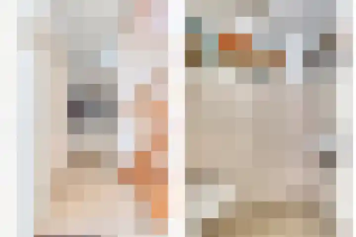 Nachtegaalstraat 2 Goor thumbnail 4