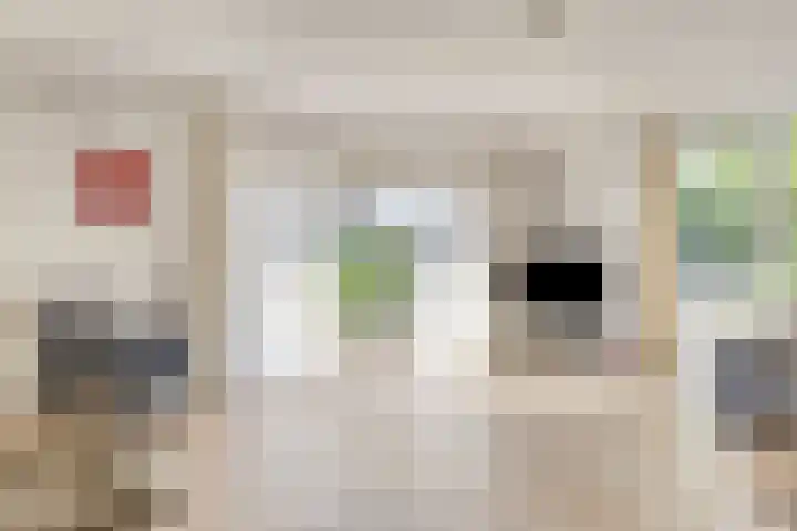 Nachtegaalstraat 2 Goor thumbnail 5