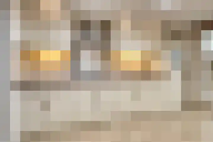 Nachtegaalstraat 20 Geleen thumbnail 10