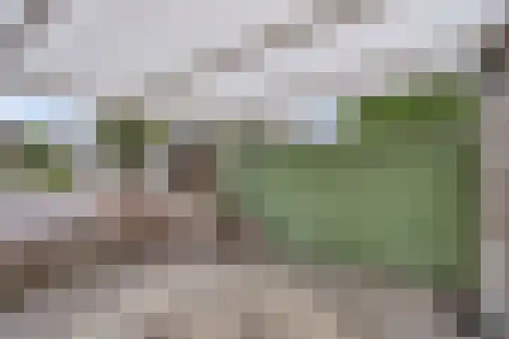 Nachtegaalstraat 20 Geleen thumbnail 20