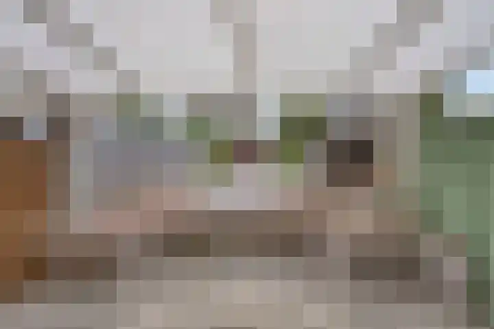 Nachtegaalstraat 20 Geleen thumbnail 22