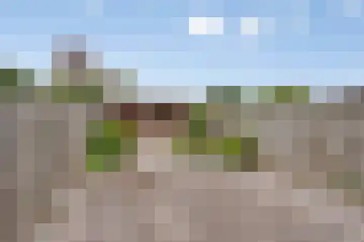 Nachtegaalstraat 20 Geleen thumbnail 25