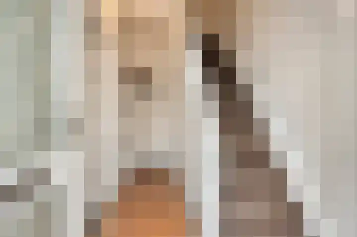 Nachtegaalstraat 20 Geleen thumbnail 4