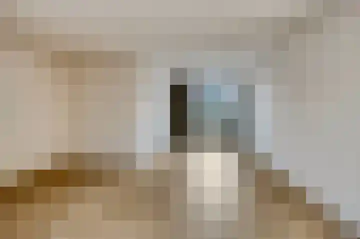 Nachtegaalstraat 20 Geleen thumbnail 7