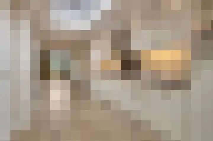 Nachtegaalstraat 20 Geleen thumbnail 9