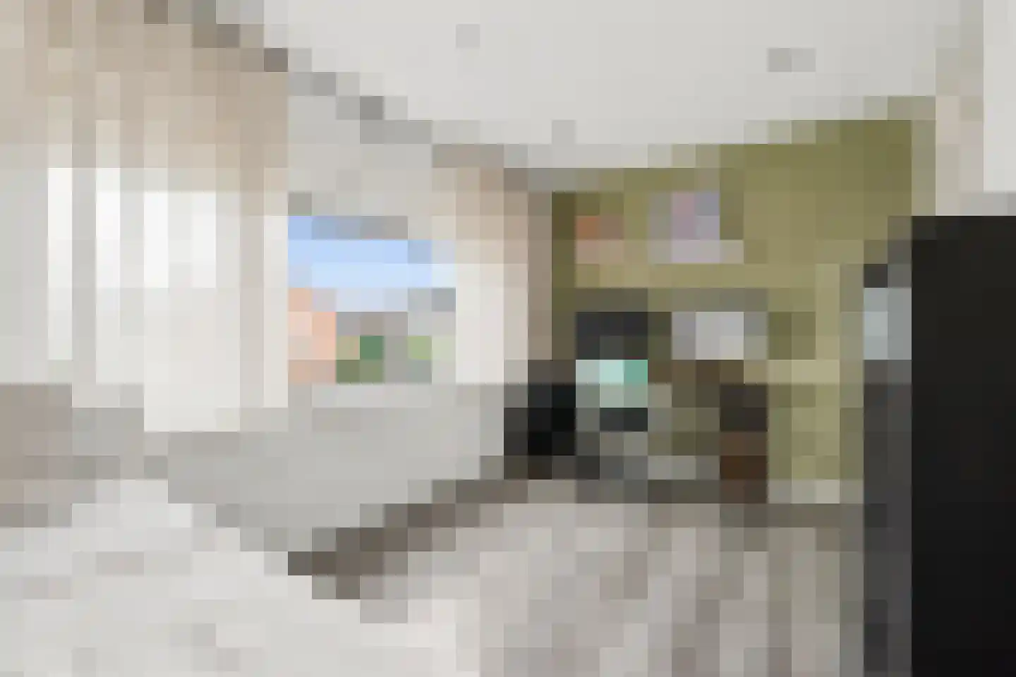 Nachtegaalstraat 21 Middelburg thumbnail 15