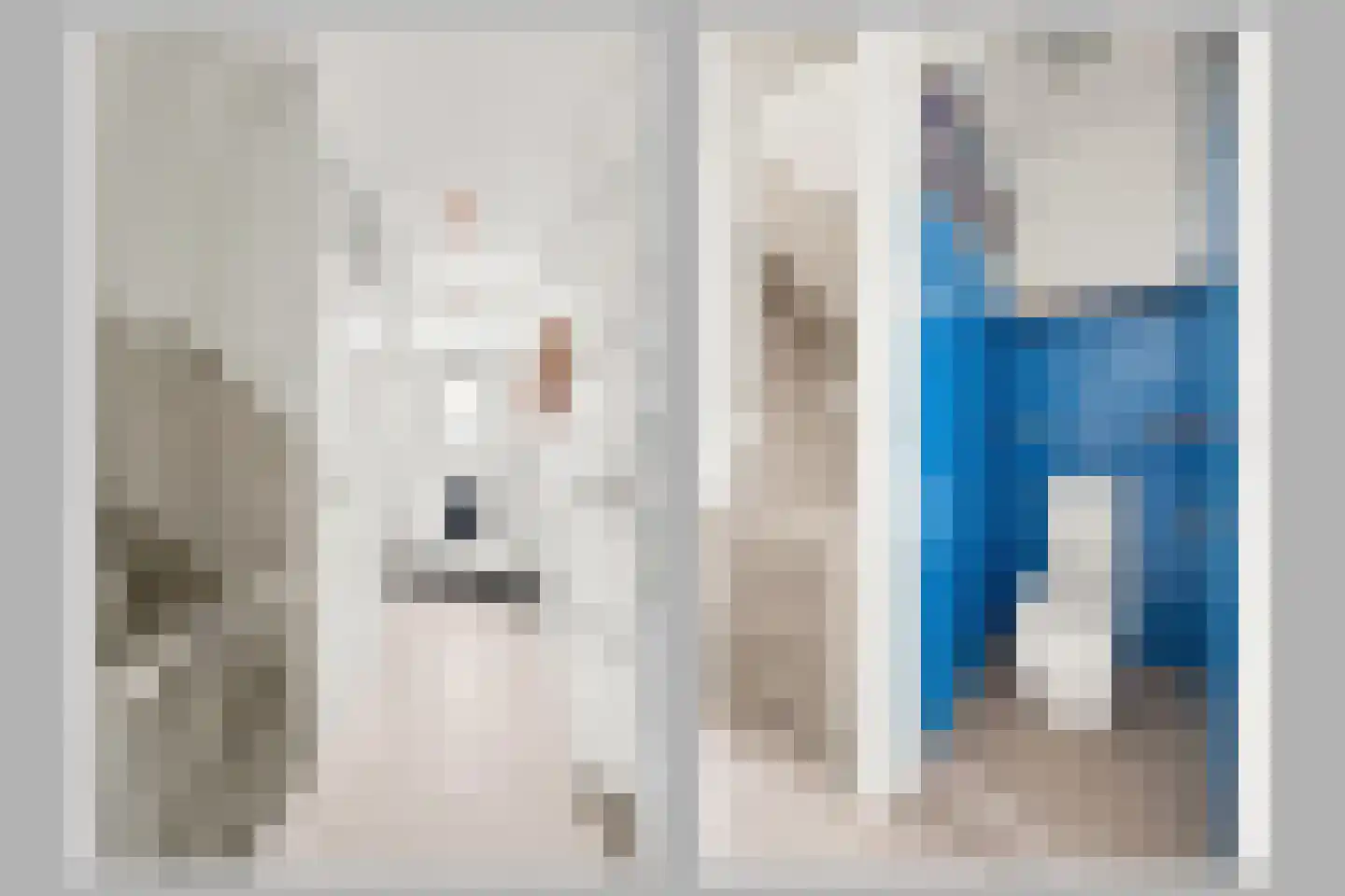 Nachtegaalstraat 21 Middelburg thumbnail 4