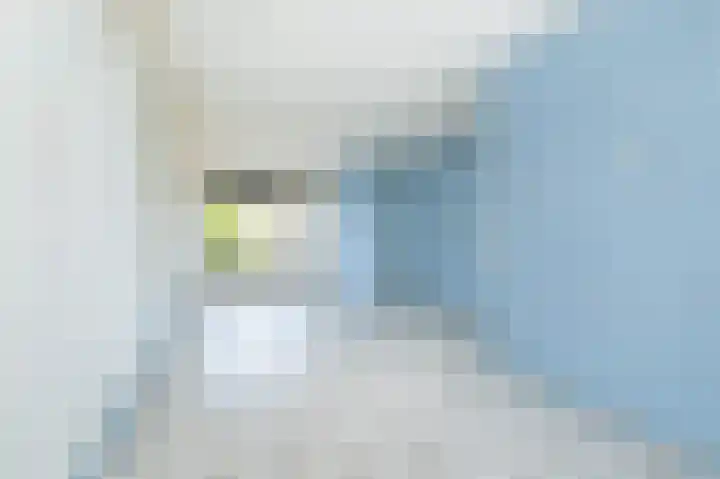 Nachtegaalstraat 21 Sommelsdijk thumbnail 7