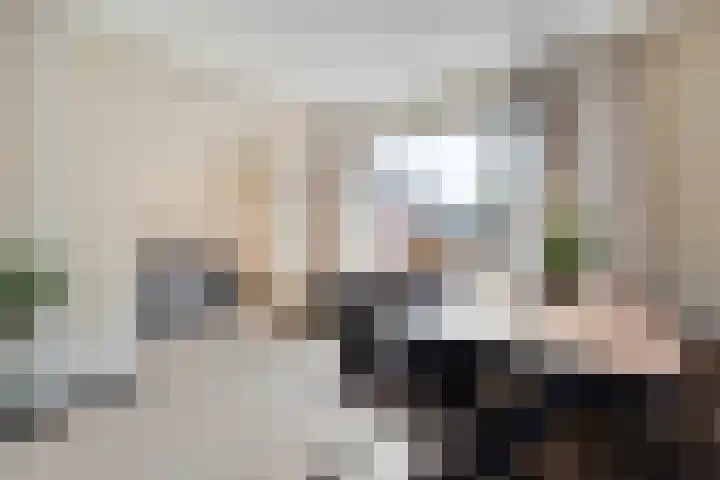 Nachtegaalstraat 22 Hardenberg thumbnail 15
