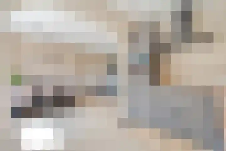 Nachtegaalstraat 22 Hardenberg thumbnail 18