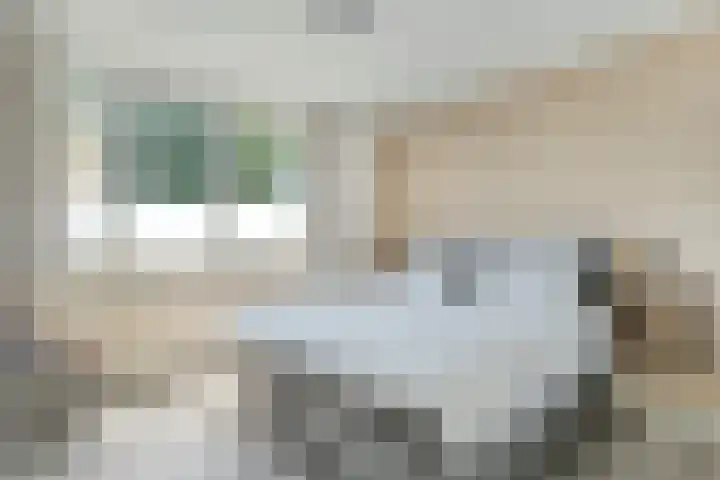 Nachtegaalstraat 22 Hardenberg thumbnail 22